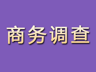 肥西商务调查